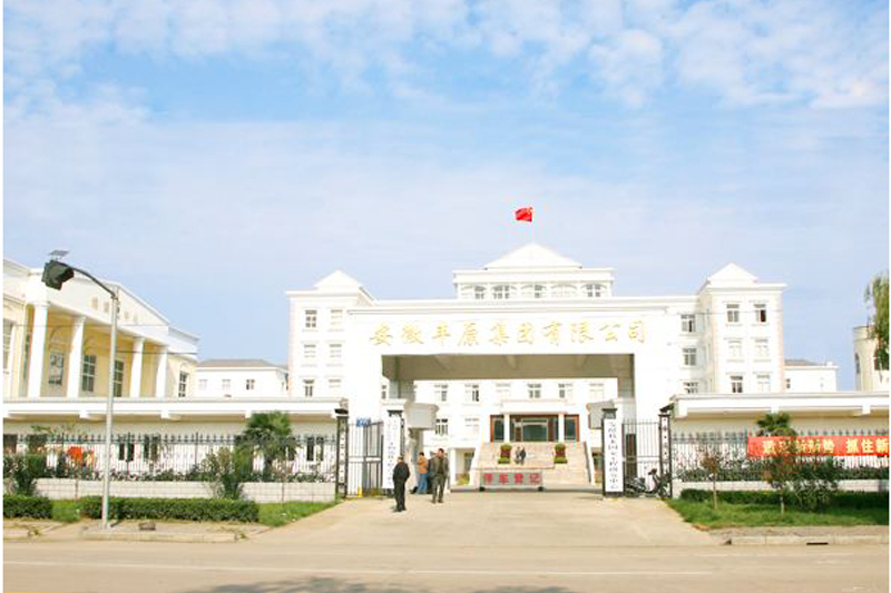 安徽豐原集團有限公司